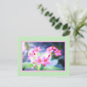Briefkaart Pastel Pink Flowers (Staand voorkant)
