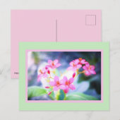 Briefkaart Pastel Pink Flowers (Voorkant / Achterkant)