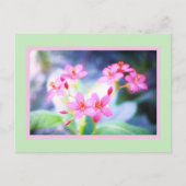 Briefkaart Pastel Pink Flowers (Voorkant)