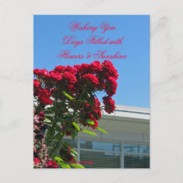 Briefkaart Patio Rozen