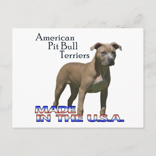 Briefkaart Patriot American Pit Bull Terrier (APBT (Voorkant)