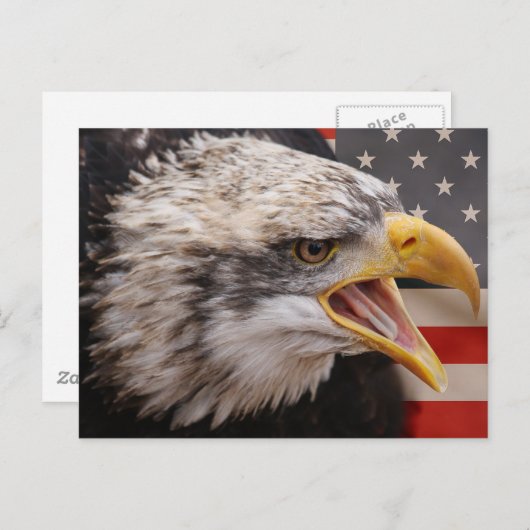 Briefkaart patriottisch Afbeelding Eagle (Voorkant / Achterkant)