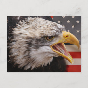 Briefkaart patriottisch Afbeelding Eagle