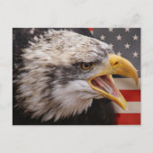 Briefkaart patriottisch Afbeelding Eagle (Voorkant)