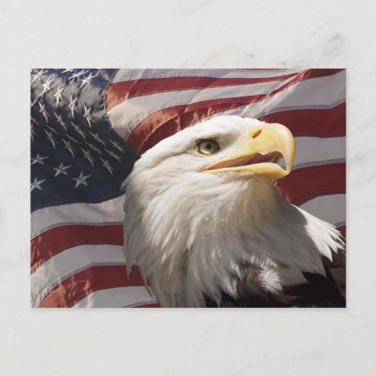 Briefkaart patriottisch Eagle (Voorkant)