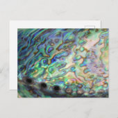 Briefkaart Paua Shell (Voorkant / Achterkant)