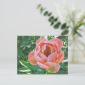 briefkaart, "PEACHY PINK PEONY" Briefkaart (Staand voorkant)