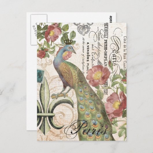  briefkaart Peacock (Voorkant / Achterkant)