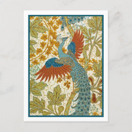 Briefkaart - Peacock