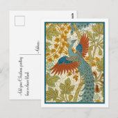 Briefkaart - Peacock (Voorkant / Achterkant)