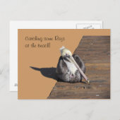 Briefkaart - Pelican op papier (Voorkant / Achterkant)