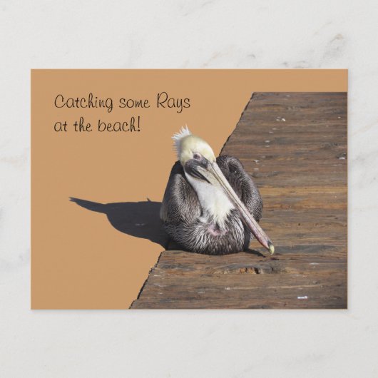Briefkaart - Pelican op papier (Voorkant)