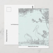 Briefkaart - Pelikanen bij de vijver (Voorkant / Achterkant)