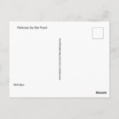 Briefkaart - Pelikanen bij de vijver (Achterkant)