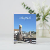 Briefkaart - Pelikanen op papier (Staand voorkant)