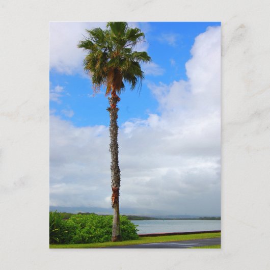 briefkaart "Permanente band" (Voorkant)