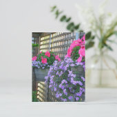 Briefkaart Petunia en Bacopa (Staand voorkant)