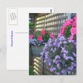 Briefkaart Petunia en Bacopa (Voorkant / Achterkant)