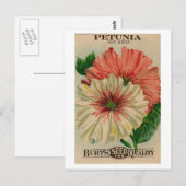 briefkaart petunia-zaadpakket (Voorkant / Achterkant)