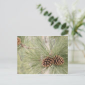 Briefkaart pijnkegelvormer (Staand voorkant)