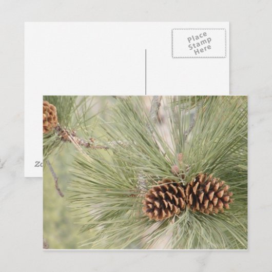 Briefkaart pijnkegelvormer (Voorkant / Achterkant)