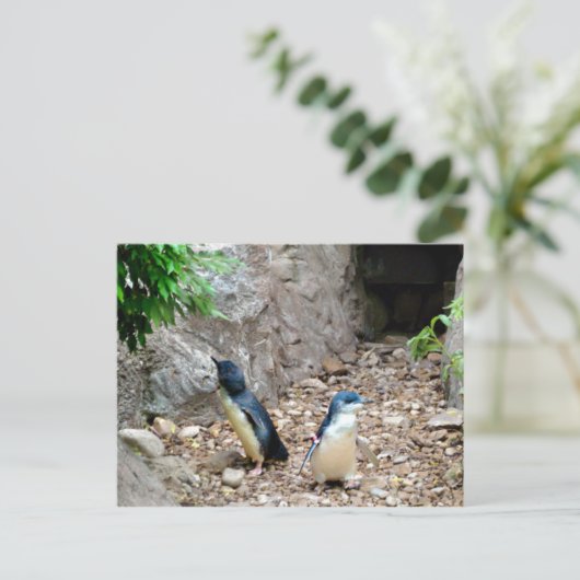 Briefkaart pinguïns (Staand voorkant)