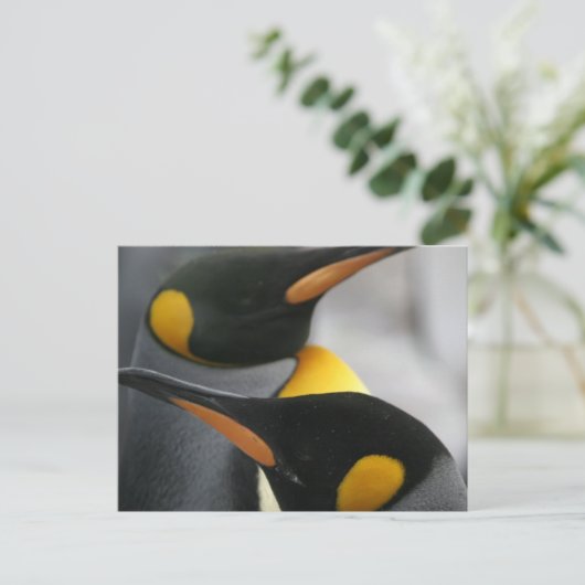Briefkaart pinguïns (Staand voorkant)