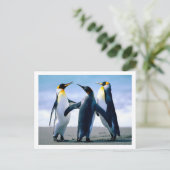 Briefkaart pinguïns (Staand voorkant)