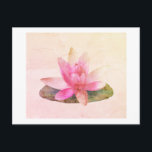 BRIEFKAART : PINK LOTUS<br><div class="desc">PINK LOTUS-BRIEFKAART</div>
