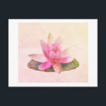 BRIEFKAART : PINK LOTUS<br><div class="desc">PINK LOTUS-BRIEFKAART</div>