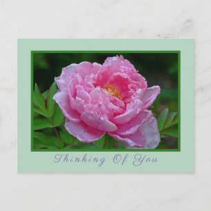 BRIEFKAART, "PINK PEONY/DENKING OF JOU" BRIEFKAART