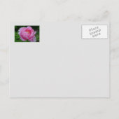 BRIEFKAART, "PINK PEONY/DENKING OF JOU" BRIEFKAART (Achterkant)