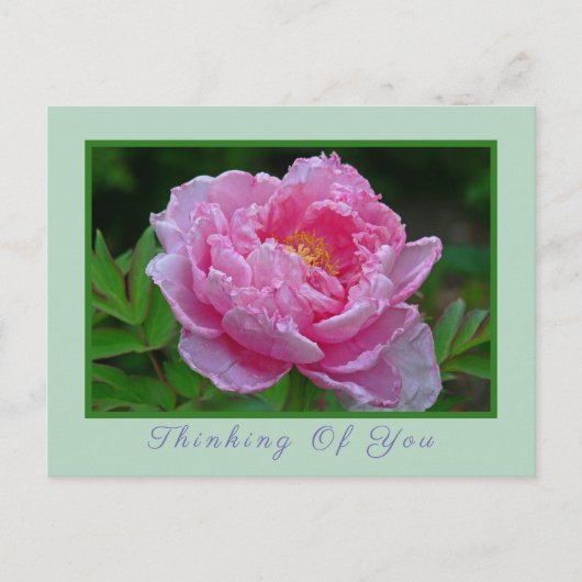 BRIEFKAART, "PINK PEONY/DENKING OF JOU" BRIEFKAART (Voorkant)