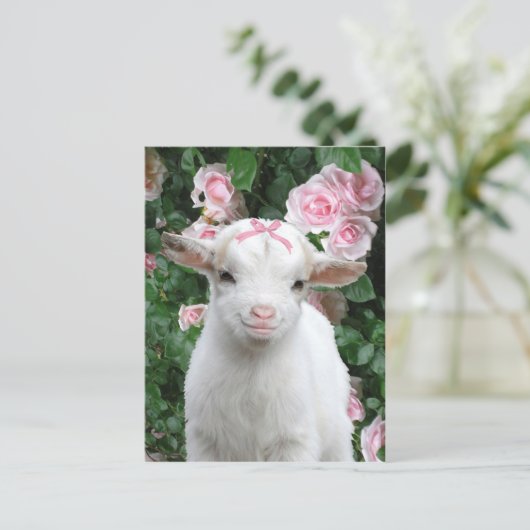 briefkaart "Pinky" (Staand voorkant)