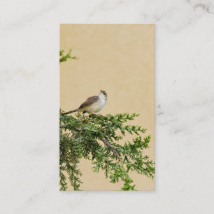 Briefkaart Plaatskaartje