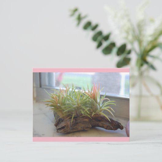 Briefkaart Plant (Staand voorkant)