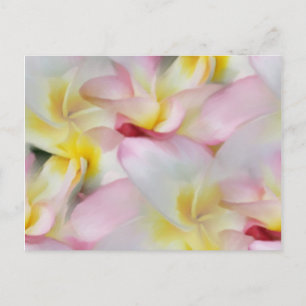 Briefkaart Plumeria Waterverf