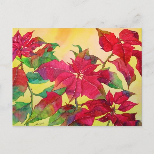 Briefkaart Poinsettias (Voorkant)