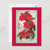Briefkaart Poinsettias (Voorkant / Achterkant)