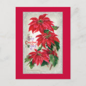 Briefkaart Poinsettias (Voorkant)