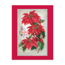 Briefkaart Poinsettias