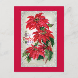 Briefkaart Poinsettias