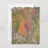 briefkaart "Pointillist's Autumn" (Voorkant / Achterkant)