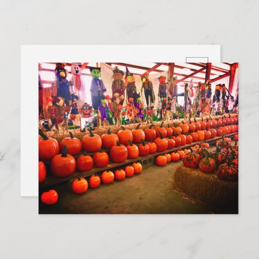 Briefkaart pompoen (Voorkant / Achterkant)