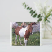 Briefkaart Pony verven (Staand voorkant)