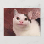 Briefkaart poolietekat-thema (Voorkant)