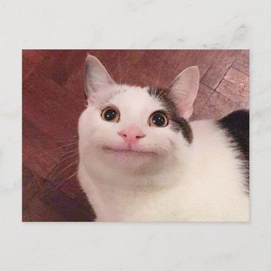 Briefkaart poolietekat-thema (Voorkant)