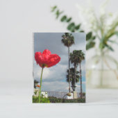 Briefkaart - Poppie aspiraties (Staand voorkant)