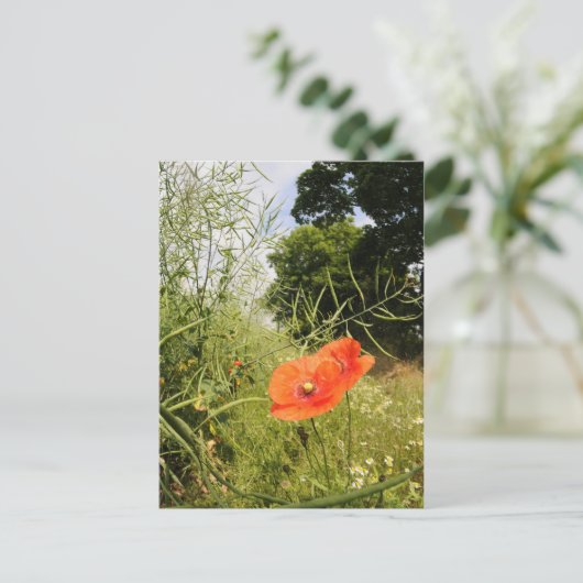 briefkaart "Poppy" (Staand voorkant)