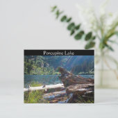 BRIEFKAART ~ "Porcupine Lake" bij Clark Fork, Idah (Staand voorkant)